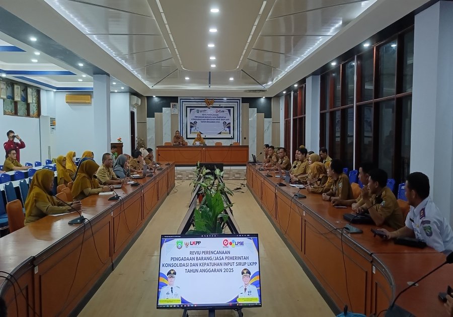Konsolidasi dan Reviu  Sistem Informasi Rencana Umum Pengadaan (SIRUP)